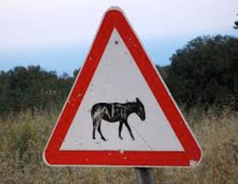 Nos advierten de posibles encuentros misteriosos con burros en la carretera.